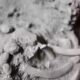 prehistoric-human-remains-thailand-cave