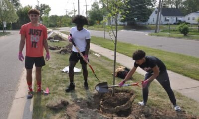 Arbor Day Grand Junction, tree seedling delivery
