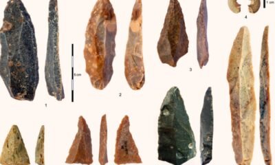 Bacho Kiro cave human bones, earliest Homo sapiens Europe