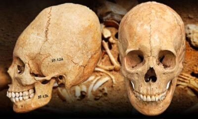 Elongated skull grave Mözs-Icsei-dülö