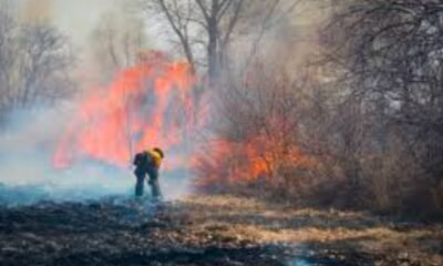 Grand Junction wildfire, GJFD