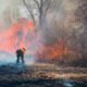 Grand Junction wildfire, GJFD