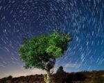 Lyrids meteor shower 2025 Indiana night sky stargazing northeast comet Thatcher