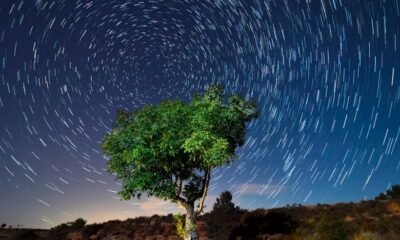 Lyrids meteor shower 2025 Indiana night sky stargazing northeast comet Thatcher