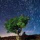 Lyrids meteor shower 2025 Indiana night sky stargazing northeast comet Thatcher