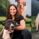 Mesa County Animal Services newspaper donation dogs kennel training shelter