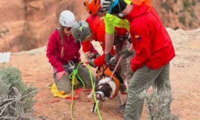 Mesa County Search and Rescue dog rescue