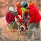 Mesa County Search and Rescue dog rescue