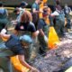 River Warriors Return