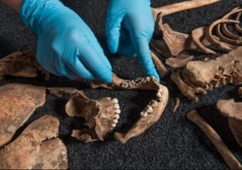 Roman-era dog skeleton England