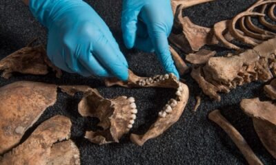 Roman-era dog skeleton England