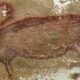Sulawesi cave painting, oldest cave art Indonesia