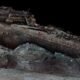 Titanic wreckage 3D model Atlantic Productions Magellan