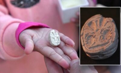 ancient Canaanite scarab amulet Israel