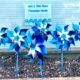 blue pinwheels child abuse prevention awareness