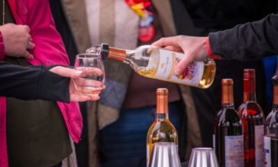 michiana wine festival, Headwaters Park,
