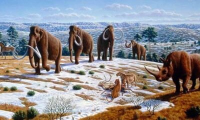prehistoric animals of Iowa, Ice Age North America