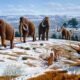 prehistoric animals of Iowa, Ice Age North America