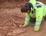roman horse burial cemetery Stuttgart archaeology