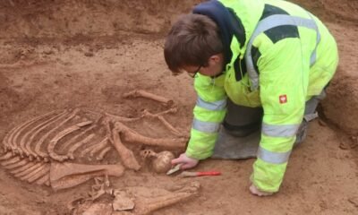 roman horse burial cemetery Stuttgart archaeology