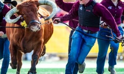 CMU Rowdy mascot 2025,