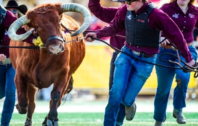 CMU Rowdy mascot 2025,