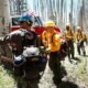 Colorado representatives advocating for forestry workers reinstatement