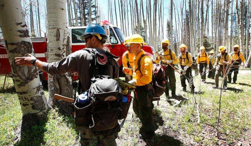 Colorado representatives advocating for forestry workers reinstatement