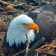 Eagle County witness security footage