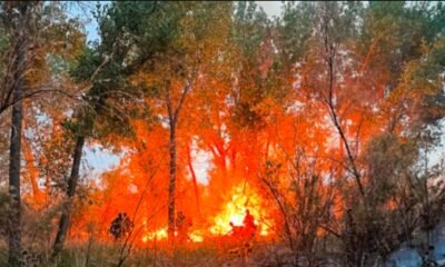 Grand Junction fire Copper Creek North subdivision unkept lot fire hazard