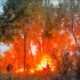 Grand Junction fire Copper Creek North subdivision unkept lot fire hazard