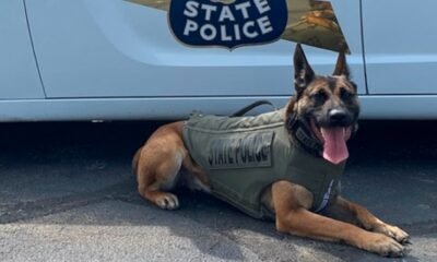 ISP K-9 Bandit body armor vest Indiana State Police dog Vested Interest