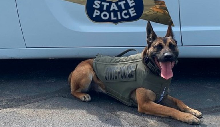 ISP K-9 Bandit body armor vest Indiana State Police dog Vested Interest