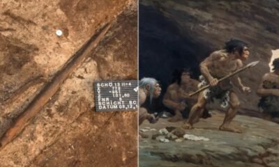 Schöningen spears Neanderthal hunting tools Germany archaeology 200000 years