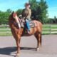 grand junction horse show mother’s day 2025,