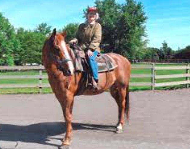 grand junction horse show mother’s day 2025,