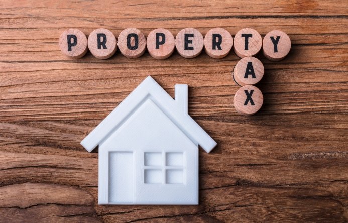 mesa county assessor property tax courthouse