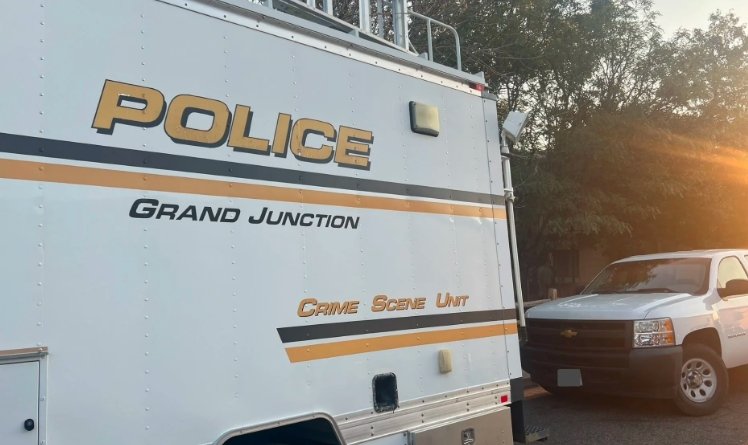 Grand Junction police arrest June 2025 Helena Court Richard Valdez domestic violence Mesa County Detention