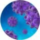 Mesa County measles, Grand Junction Love's Travel Stop,