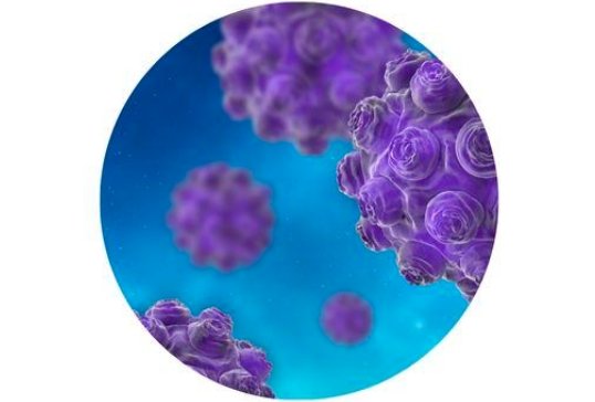 Mesa County measles, Grand Junction Love's Travel Stop,