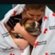 Pet Preparedness Month, Red Cross pet safety, pet go bag