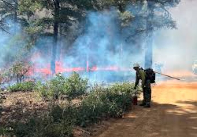blm wildfire firefighting unit grand junction colorado