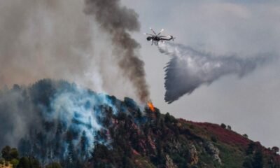 brush fire glenwood springs colorado june 2025