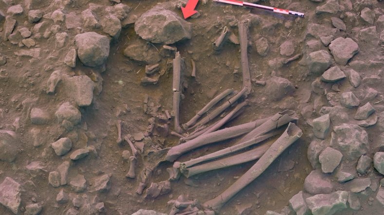 flint figurines neolithic jordan kharaysin burial site