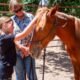 grand valley horse rescue mustang kids therapy grand junction colorado
