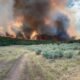 jolly mesa fire garfield county silt colorado 2025 wildfire