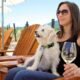 people drinking wine with rescue dogs Palisade winery