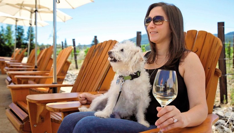 people drinking wine with rescue dogs Palisade winery