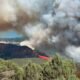 wildfire near Taylor Park Reservoir Colorado June 2025