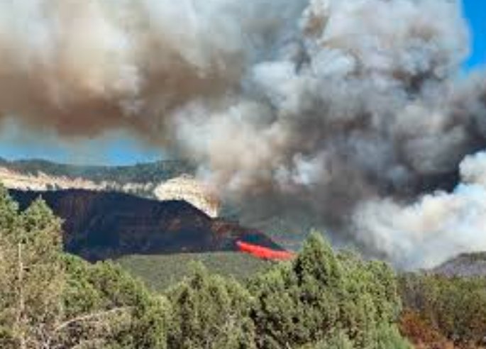 wildfire near Taylor Park Reservoir Colorado June 2025